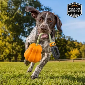 PROKEl Indestructible Dog Rope Fetch Toy - Tug-of-War Balls for Medium-Large Aggressive Chewers, Interactive Indoor & Outdoor Training Toy (Halloween Orange) chew