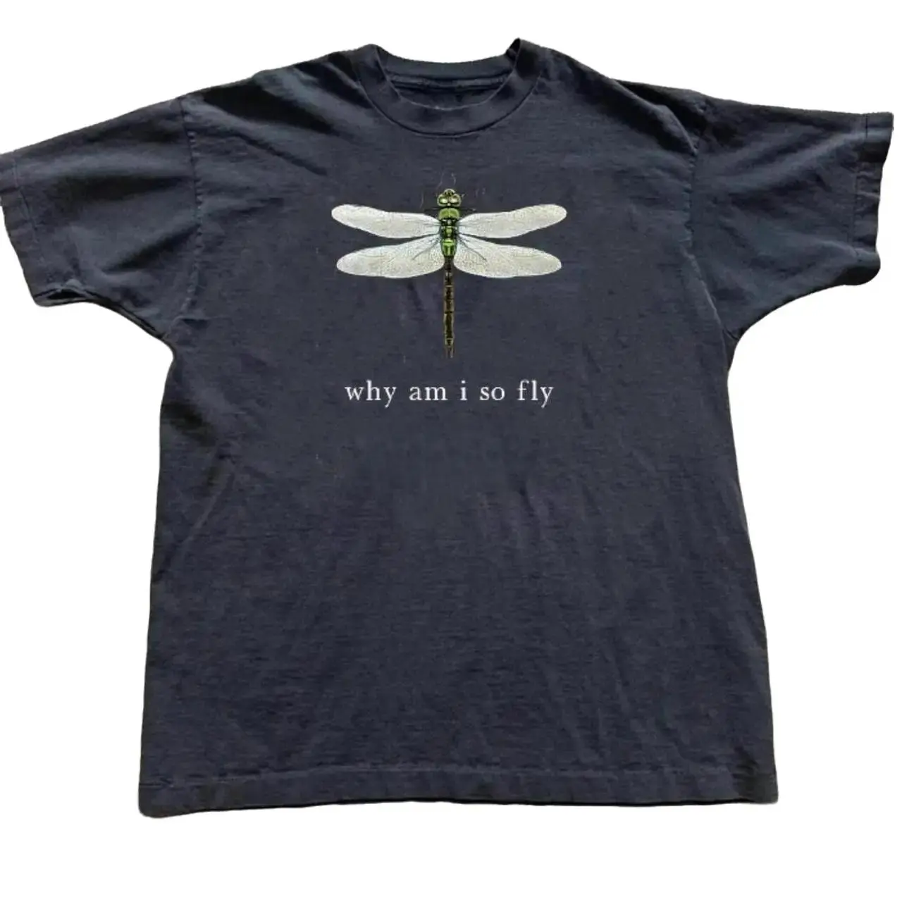 Dragonfly Graphic T-Shirt Cotton Fabric Short Sleeve Crew Neck Unisex Tee, Nature Inspired Casual Shirt with Insect Print Design, Lightweight Daily Wear Top for Men Women, Trending Graphic Tee, Vintage Tee, Casual Streetwear and Summer Outfit