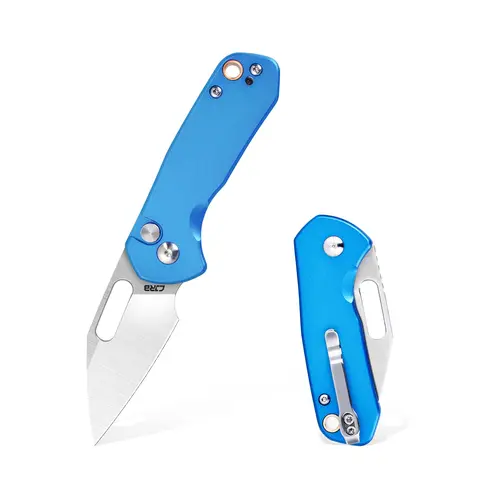 CJRB Mini Pyrite Folding Pocket Knife - 2.17" AR-RPM9 Steel Blade with AR-RPM9 Sharpness, Small EDC Keychain Utility Knife with Clip or Lanyard, Survival Gear Emergency Tool for Camping Tasks Easier