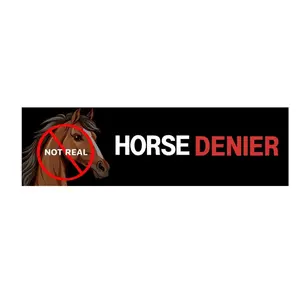 Horse Denier Car Magnet, Funny Joke Bumper Magnet for Car Lovers, Humorous Car Decor Gift