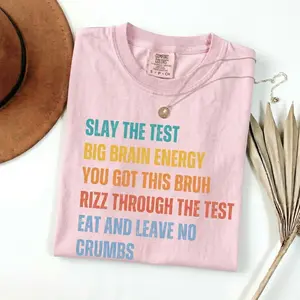 Comfort Colors Test Day Teacher T-Shirt, Slay the Test, State Testing Day Teacher Team Shirts, Testing Coordinator Shirt, Standardized Test Tee  Womenswear Top Summer