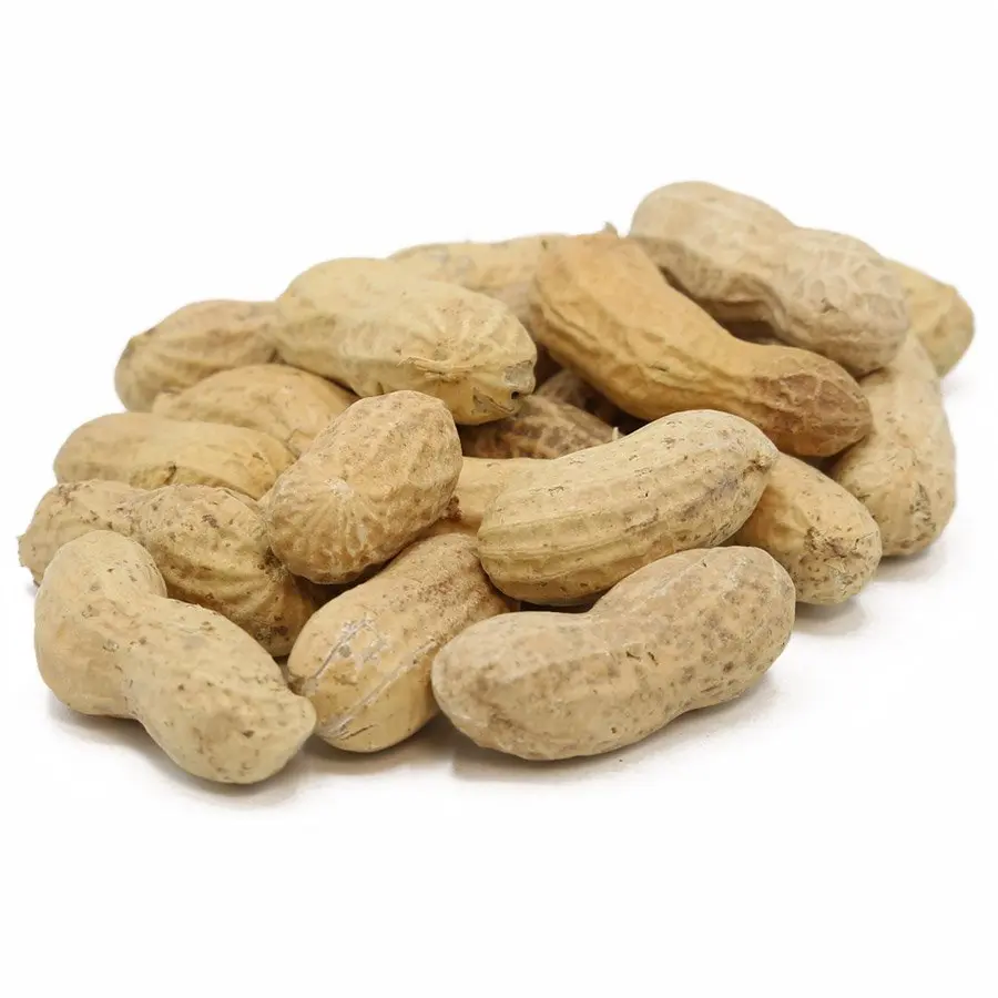 Peanuts In Shell Raw Peanuts In Shell Raw
