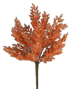 Cedar Bush H22  Orange