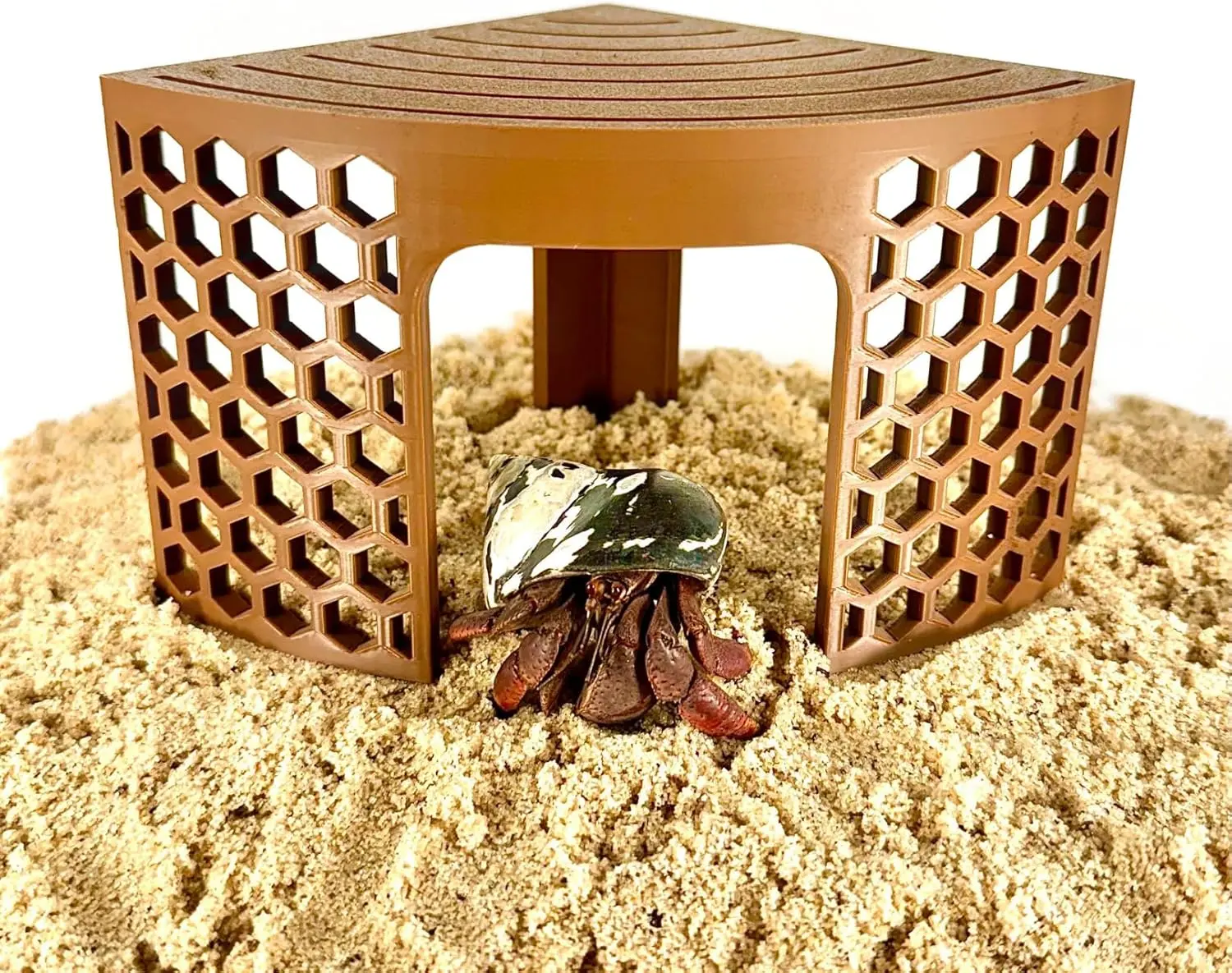 Hermit Crab Corner Climbing Stand