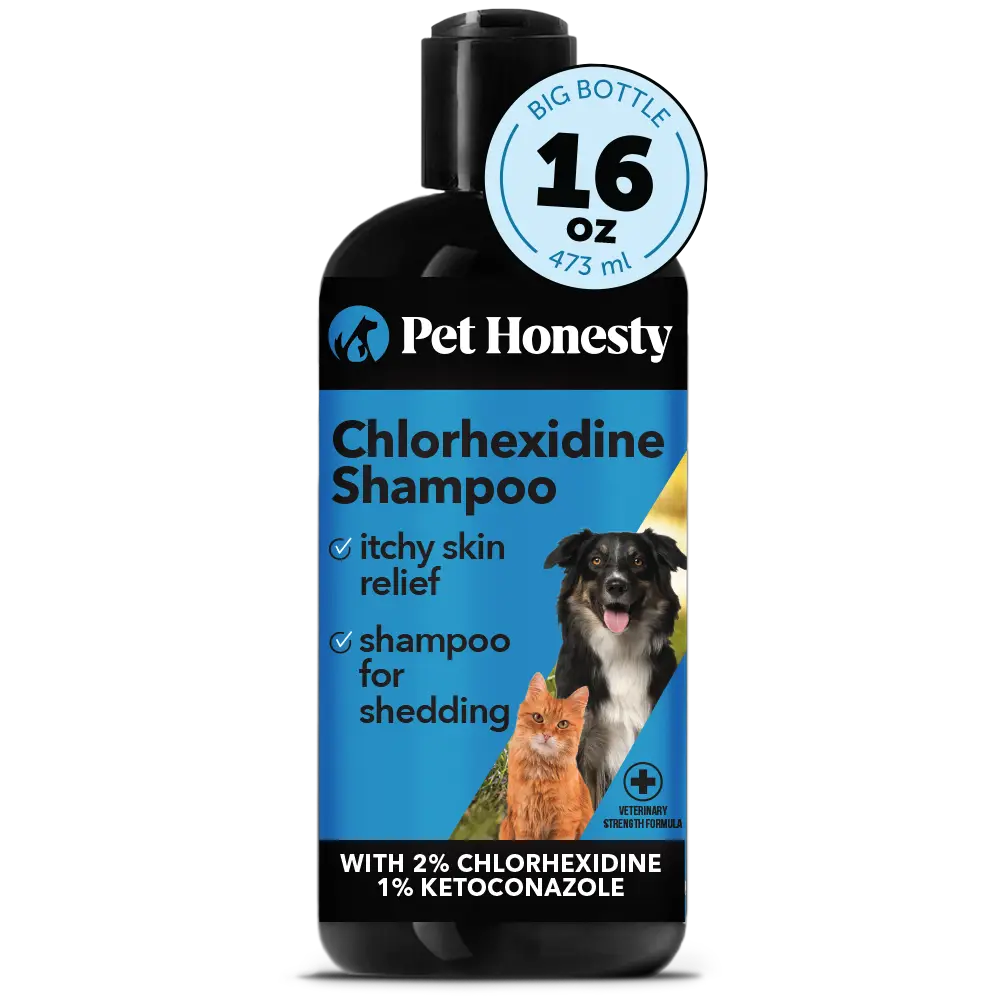 Pet Honesty Chlorhexidine Cat & Dog Shampoo, for Allergies, Itching, Dog Skin and Coat Supplement, Deodorizing Dog Shampoo - 16oz