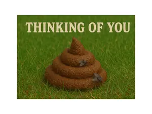Thinking of You – Hilarious Pile of Poop Prank Postcard - Sent Anonymously to Your Victim