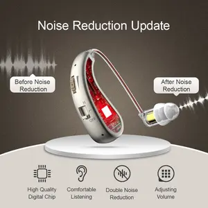 1 Pair Rechargeable Hearing Aids for Seniors,Hearing Aids for Adults with Noise Cancelling, Hearing Amplifier for Hearing Loss with Charging Case