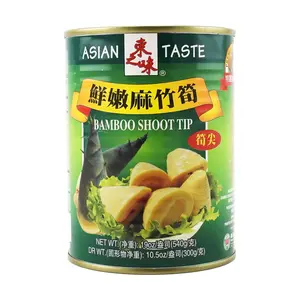 ASIAN TASTE Tender Bamboo Shoots 540g - Fresh and Crunchy Asian Delicacy