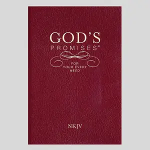 God's Promises for Your Every Need - NKJV Scripture Treasury Book for Life (Religion & Philosophy, Humanities & Social Sciences)