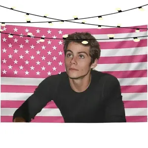 Funny Dylan O'Brien Print Artwork Tapestry - Colorful Home Decor Wall Hanging, Ideal for Living Room, Bedroom, Thoughtful Gift for Home Supplies Enthusiasts with Summervibes, Artwork Tapestries, Colorful Tapestries