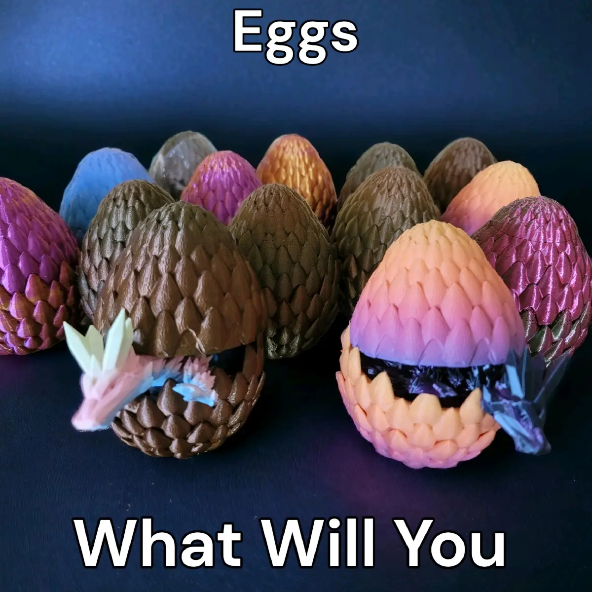 Dragon Egg