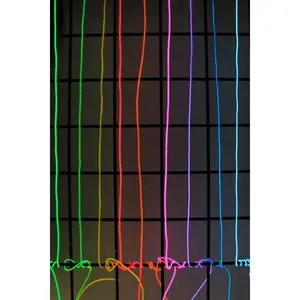 3' Neon String Light - Battery Operated