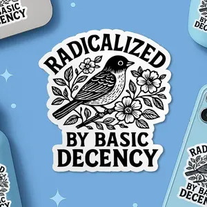 Radicalized by Basic Decency Sticker, activism stickers, Protest Liberal Leftist Democracy Human Rights Vinyl Stickers