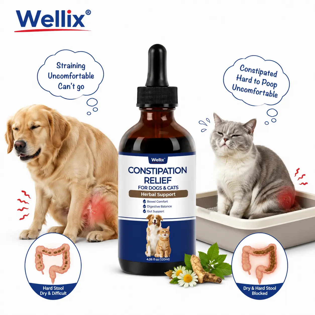 Wellix 4oz Liquid Cat & Dog Constipation Relief for Gas and Tummy | Stool Softener with Dandelion Root, Prebiotics & Probiotics, Natural Laxative for Bloating & Gas Support, Chicken Flavor
