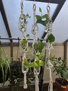 Macrame Propagation Hanger