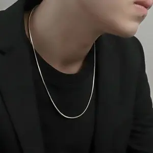 Minimalist Silvery Toned Delicate Snake Bone Chain Necklace, Light Luxury Commuting Versatile Niche Necklace