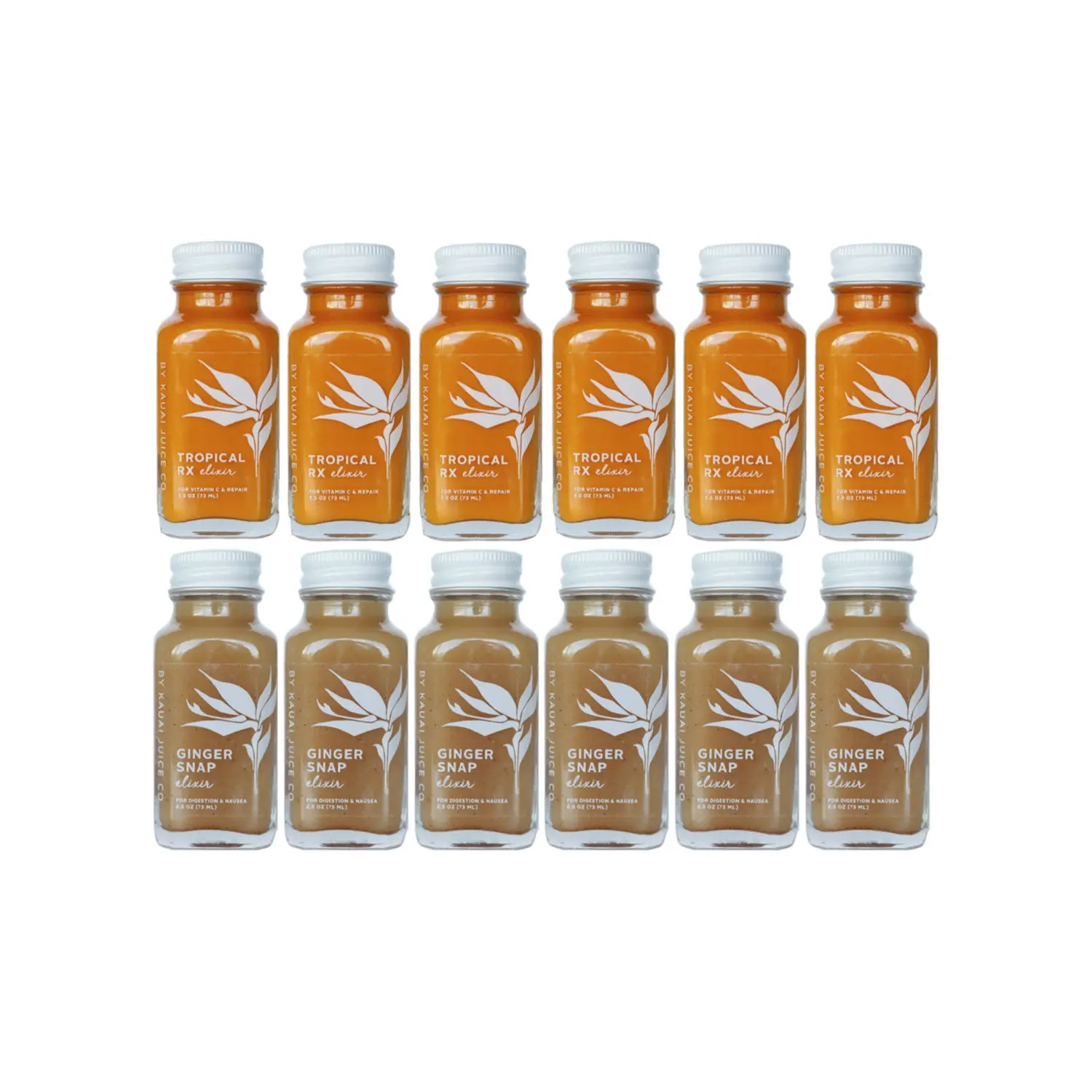TROPICAL RX & GINGER SNAP 12 PACK
