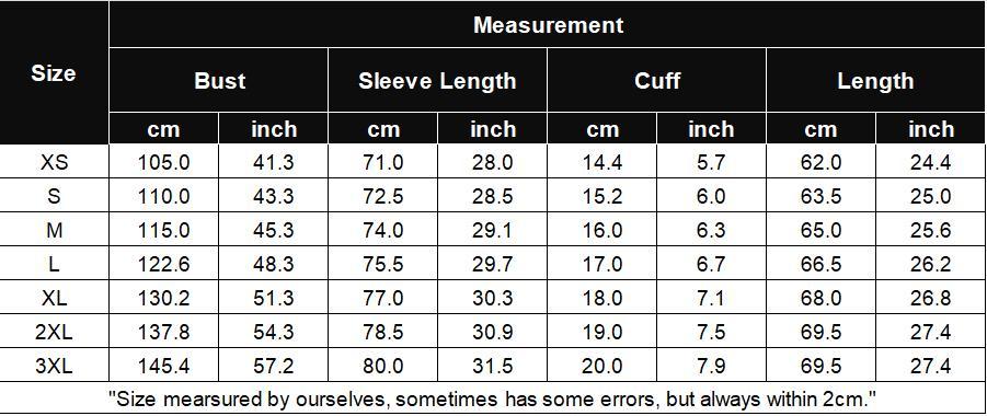 Womens Blouses Dressy Casual Fashion Smocked Long Lantern Sleeve V Neck Chiffon Shirts Tops Fall Outfits Clothes