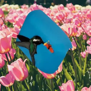 Hummingbird Cover compatible with Omnipod
