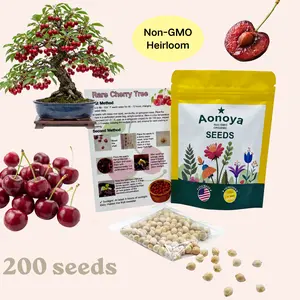 Organic Dwarf Cherry Tree Seeds – 200pcs Non-GMO Heirloom Mini Cherry Seeds