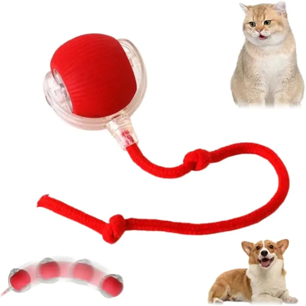 Interactive Rolling Dog Ball Automatic Moving Cat Balls Kitten 360° Smart Automatic Rolling Ball Toys for Bored Indoor Cats/Dogs