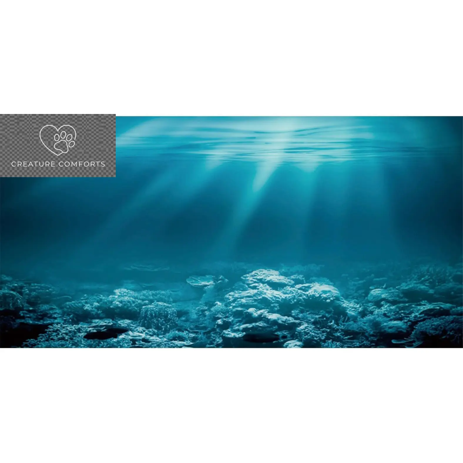 36X20 in Undersea Aquarium Backdrop Underwater World Fish Tank Background | AWERT Sunshine Seabed Blue Coral Terrarium Background Vinyl