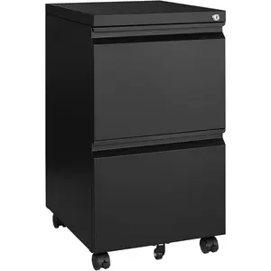 MIIIKO 2-Drawer File Cabinet on Wheels, Mobile Under Desk with Lock, Vertical Storage for Legal/Letter/A4 Files, Fully Assembled