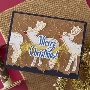 Stars and Fronds Frame 3D Embossing Folder by Dina Wakley