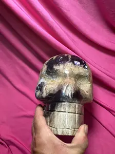 Petrified, wood skull