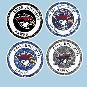 4 Ops (NOT COMBO 4) Off-Campus Booktok Stickers, Ice Hockey Romance, Kindle Decal