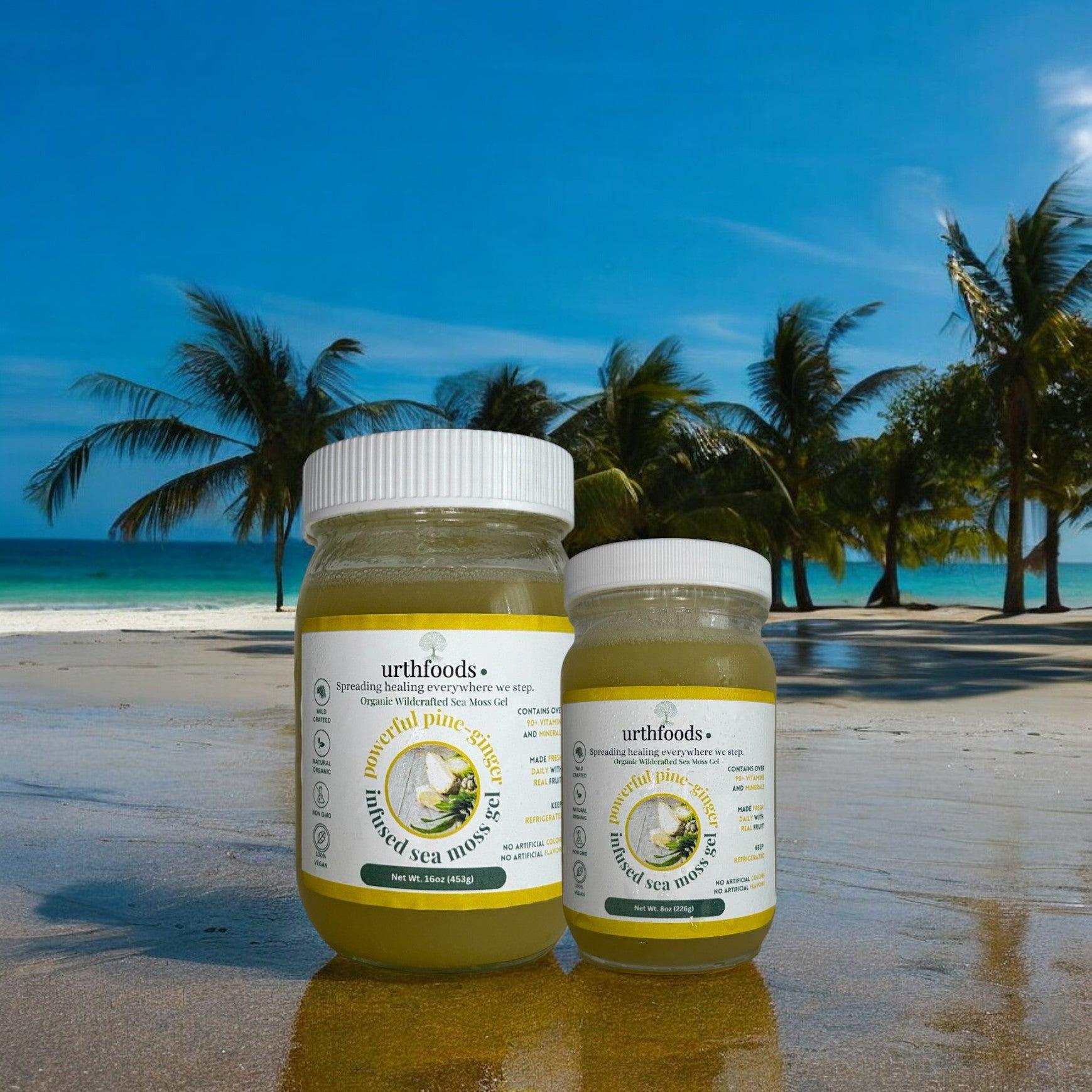 Urthfoods Sea Moss Gel Powerful Pine-Ginger