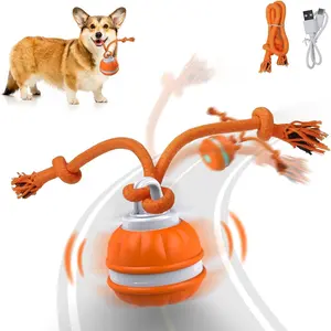 Interactive Activated Roller Ball for Puppies, Automatic Moving Toy, Automatic Rolling Ball, USB Charging Pet Ball, Dog & Cat Accessories, Pet Supplies