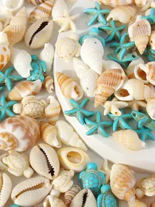 65 Pcs Natural Shell Pendant Set for DIY Jewelry Making, Handmade Conch Starfish Turtle Accessories for Bracelets Necklaces Earrings Anklets