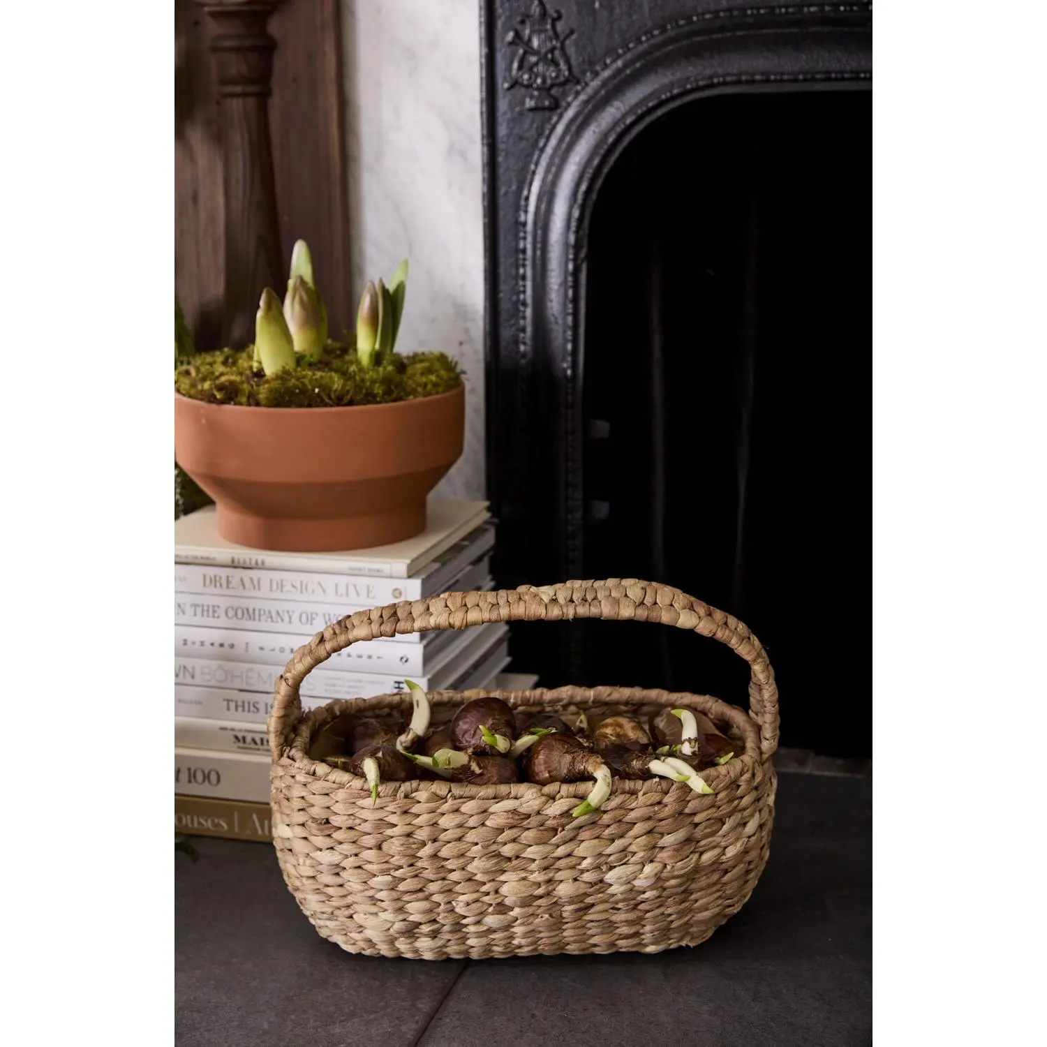 Brisk Basket