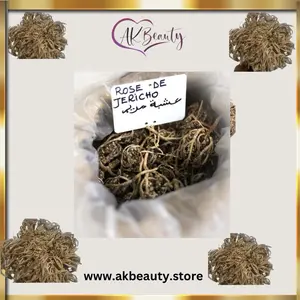 Rose Jericho flower /Kalf Mariama by Akbeauty (plant Resurrection