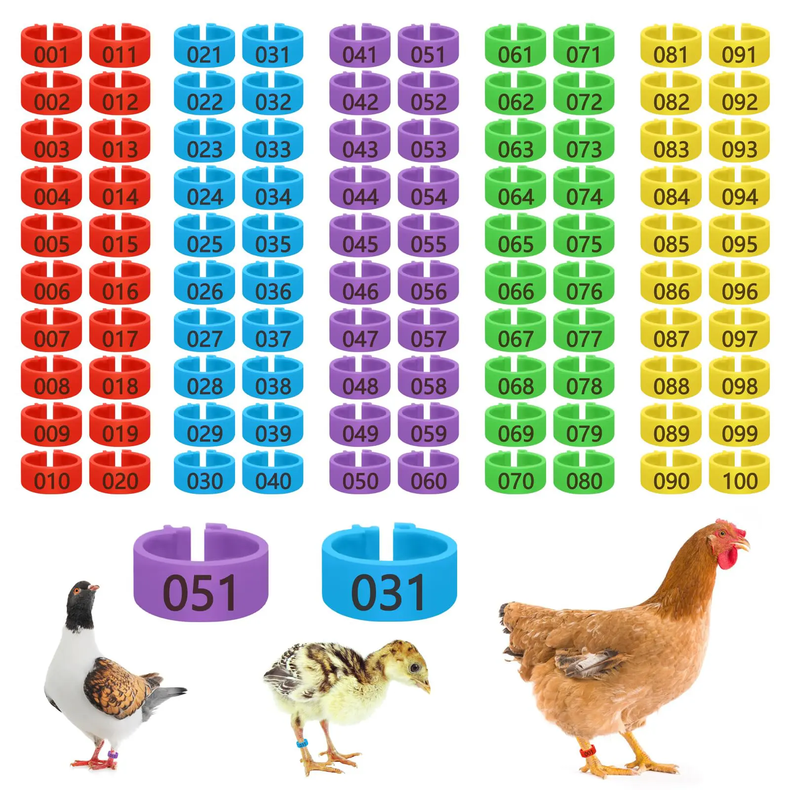 100 Pcs Clip-On Poultry Leg Bands, Durable Laser-Etched Numbered Tags (0.62 Inch Diameter, 0.39 Inch High) for 0-5 Lbs Chickens, Ducks, Goose | Farm Animal Poultry Supplies, 0-5 Pounds