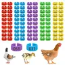 100 Pcs Bulk Clip-On Poultry ID Leg Bands - 0.62 in Diameter, 0.39 in Height, Laser-Clear Numbered Etch Tags for 0-5 lbs Chickens, Ducks, Goose - Durable Breeding Farm & Pet Supplies