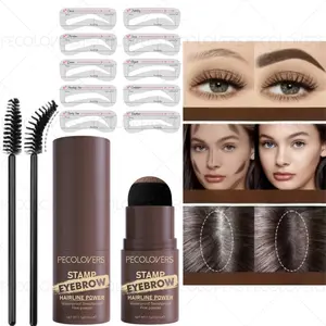 Eyebrow Stamp Styling Kit, Multi-purpose, Modify and Fill Forehead and Temples, Contour Shadow Powder, Waterproof and Smudge-proof, Easy To Color, Eyebrow Shape with 10 PCS