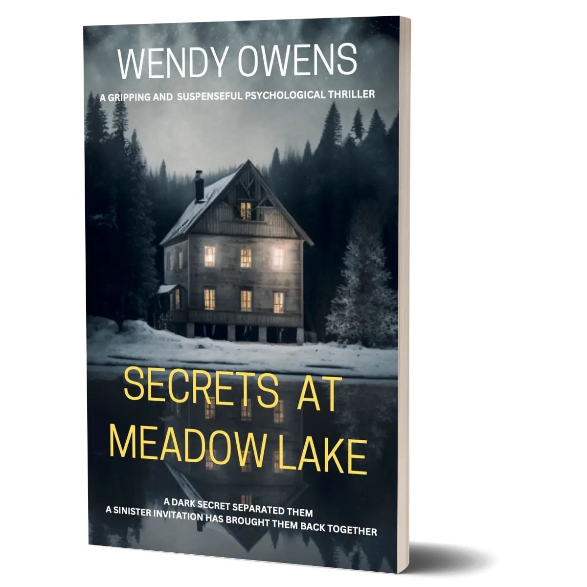 Wendy Owens Secrets At Meadow Lake Signed Paperback - A Psychological Thriller with Intriguing Themes