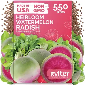 550 Watermelon Radish Seeds (Raphanus sativus), Heirloom Non-GMO Red Meat Radish Seeds, Mild Sweet Root Vegetable Seeds for Home Garden, Raised Beds & Containers