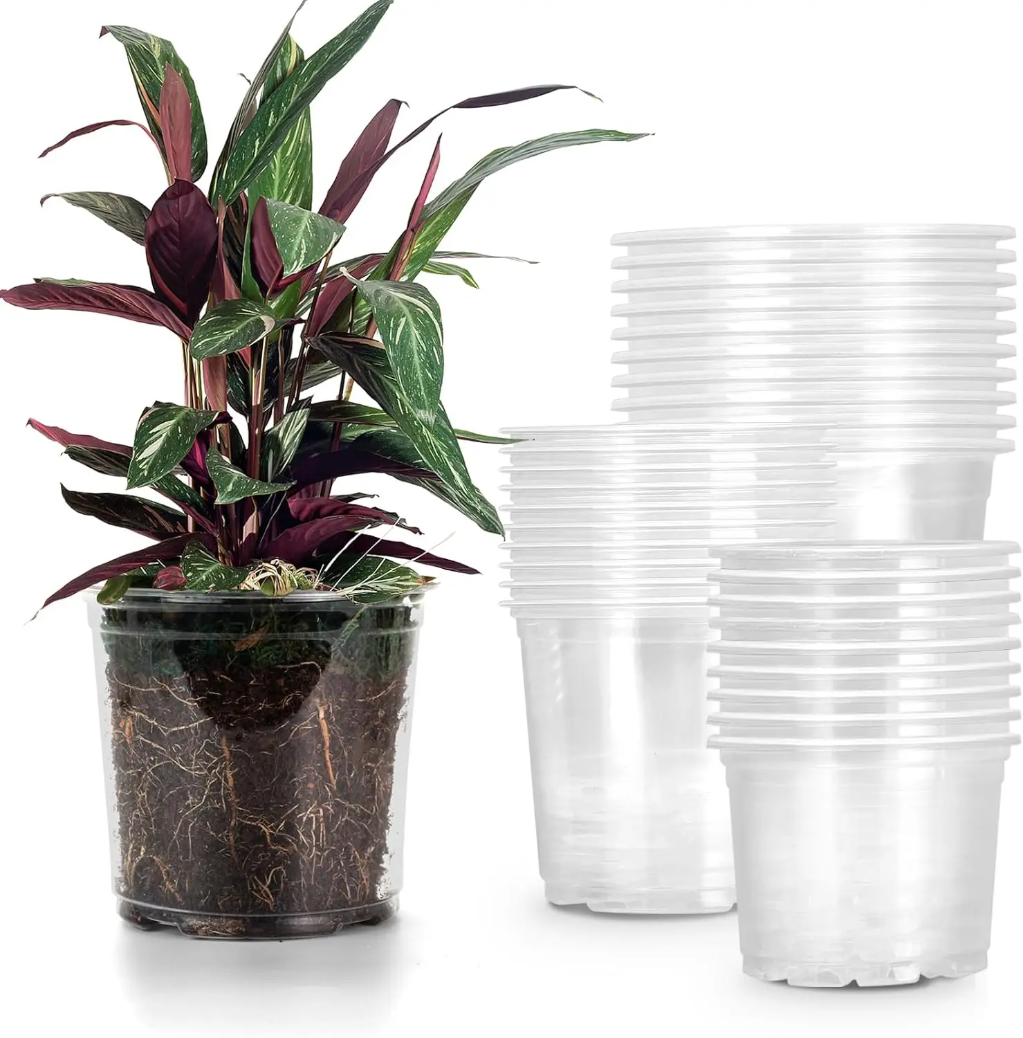 30 Pack 5/6/7 Inch Reinforced  Pots with Drainage Holes, Transparent Plastic  Pots for Seedlings, Clear Seed Starters