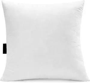 2828  Goose Down  Throw Pillow Inserts(Set of 1)-5% Down Filling,High Filling Weight,250 TC  Cover, Square, White