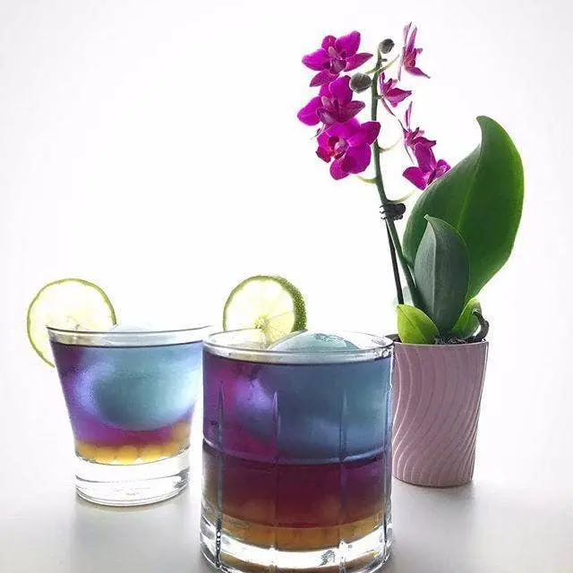 Blue Mango Butterfly Pea Herbal Iced Tea