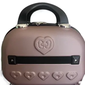 Hard makeup case carry on