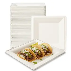 FPN Disposable Sugarcane Square Plates Heavy Duty Compostable Dinnerware | Biodegradable Eco Friendly Party Plates for Hot & Cold Food, Catering, Weddings & Daily Meals