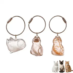 Cat hair collection keychain, eggshell packaging cat hair collection pendant, cat hair keepsake amulet pendant, portable, creative birthday gift, commemorative gift for cat lovers, lightweight keychain