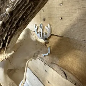 European Mount Skull Hanger