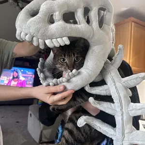 Dinosaur Skeleton Headgear Pillow, 4 Color Options Available, Unisex Cushion, Perfect for Party Cosplay and Sofa Lounging