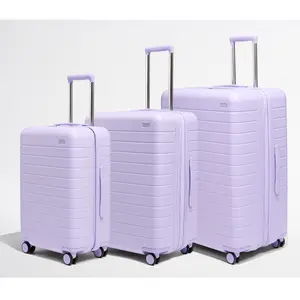 Lavender Luggage Set