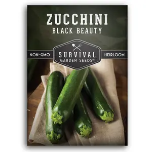 Black Beauty Zucchini Seed - Prolific Heirloom Zucchini